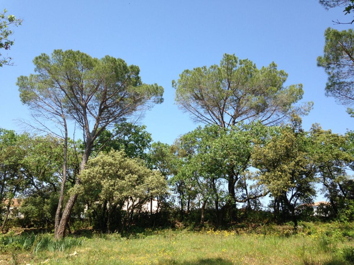 Les Marguerites Bed & Breakfast แวร์ ปองต์ ดู การ์ ภายนอก รูปภาพ